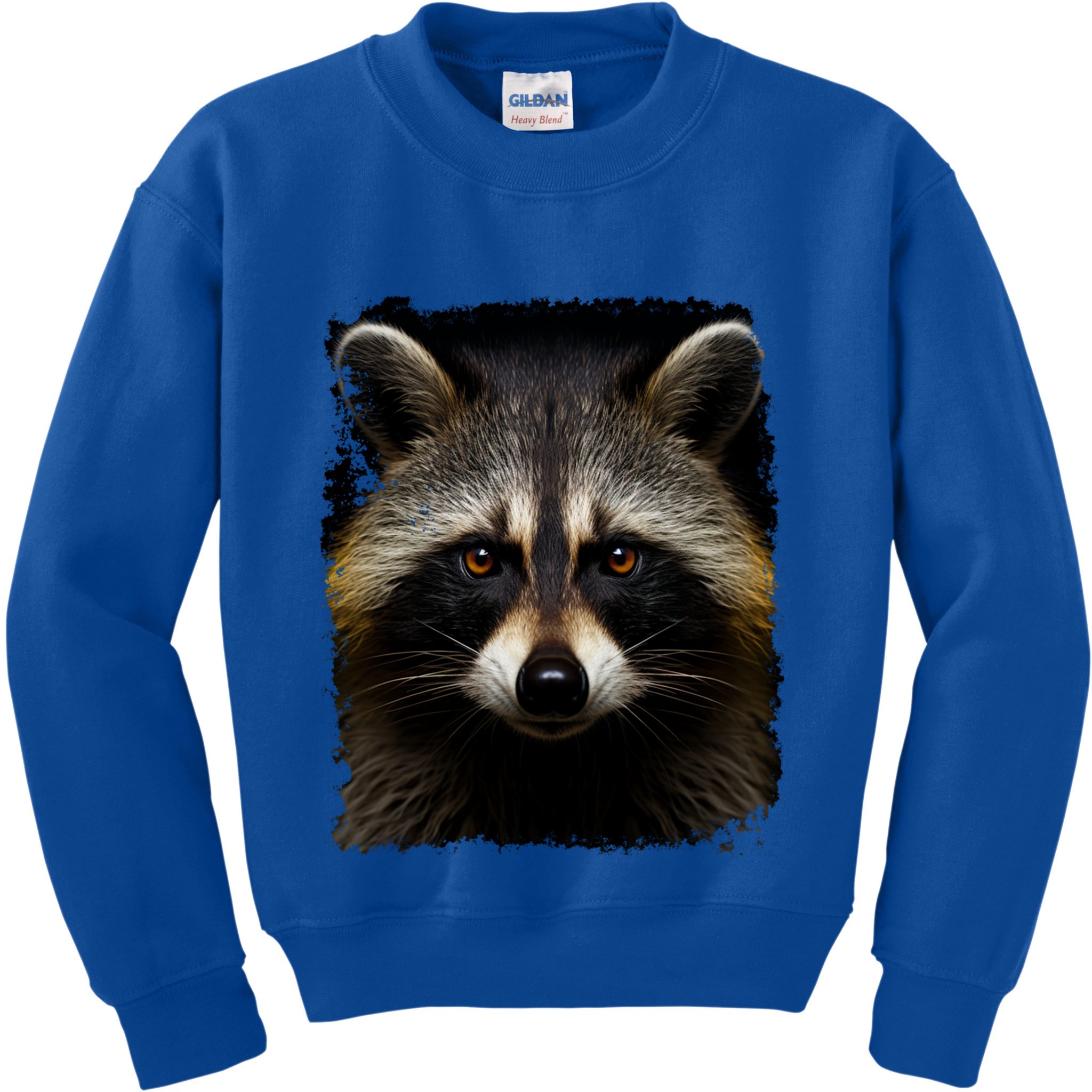 A Racoon Gift Kids Sweatshirt