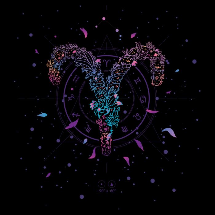 Aries Floral Zodiac Premium T-Shirt