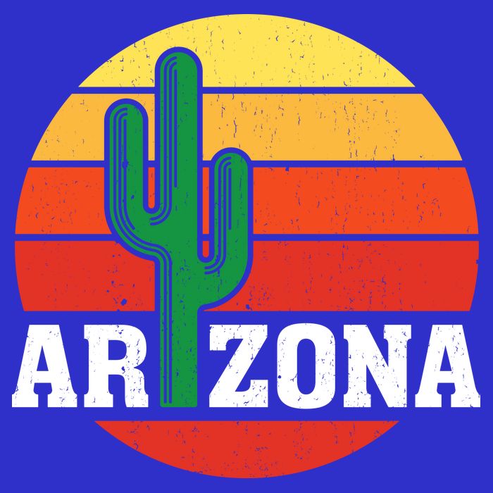 Arizona Cactus Sunset Kids T-Shirt