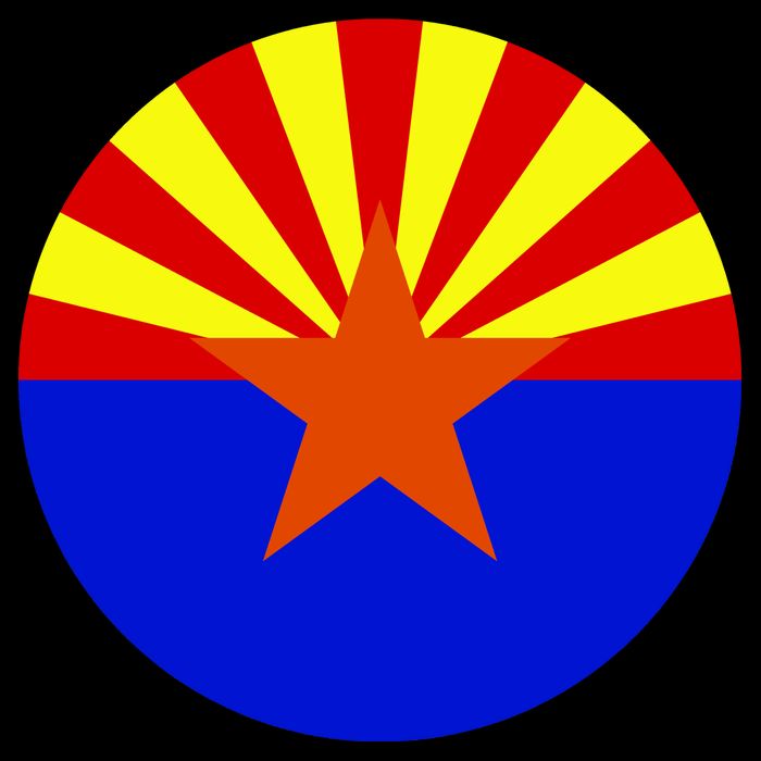 Arizona Circle Flag Mug