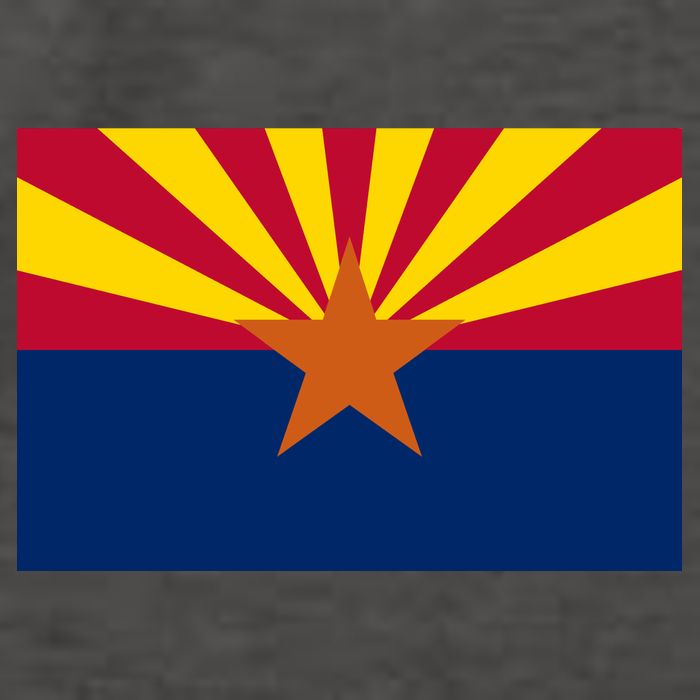 Arizona Flag Vector Backpack