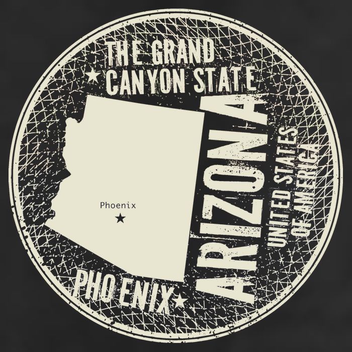 Arizona Grand Canyon State Retro Circle 11oz C Handle Ceramic Mug