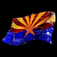 Arizona Grunge Flag Mug