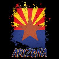 Arizona State Star Flag Kids Hoodie