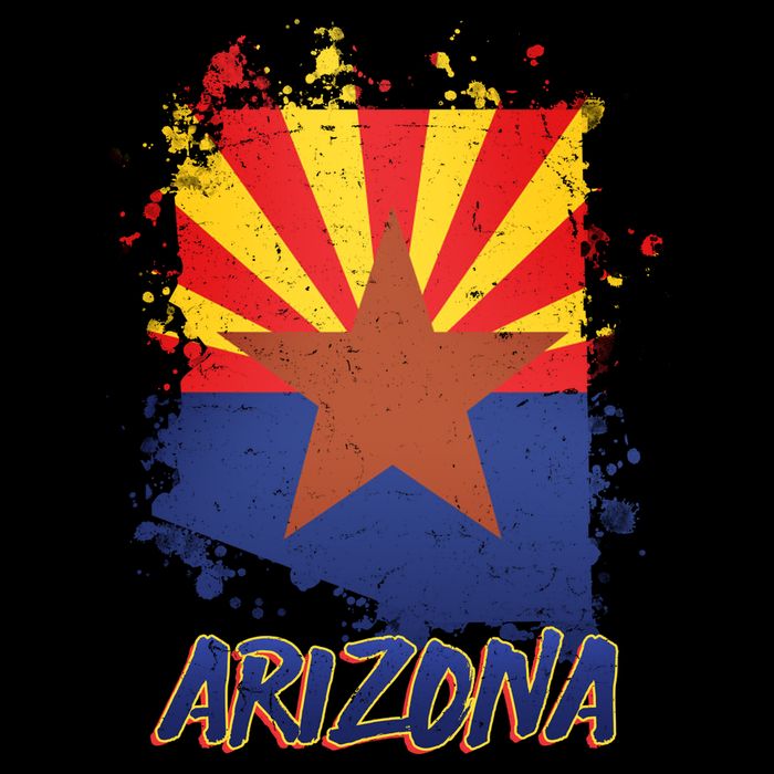 Arizona State Star Flag Kids Hoodie
