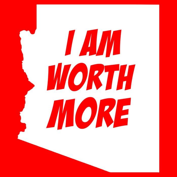 Arizona Teacher Protest I Am Worth More Poster