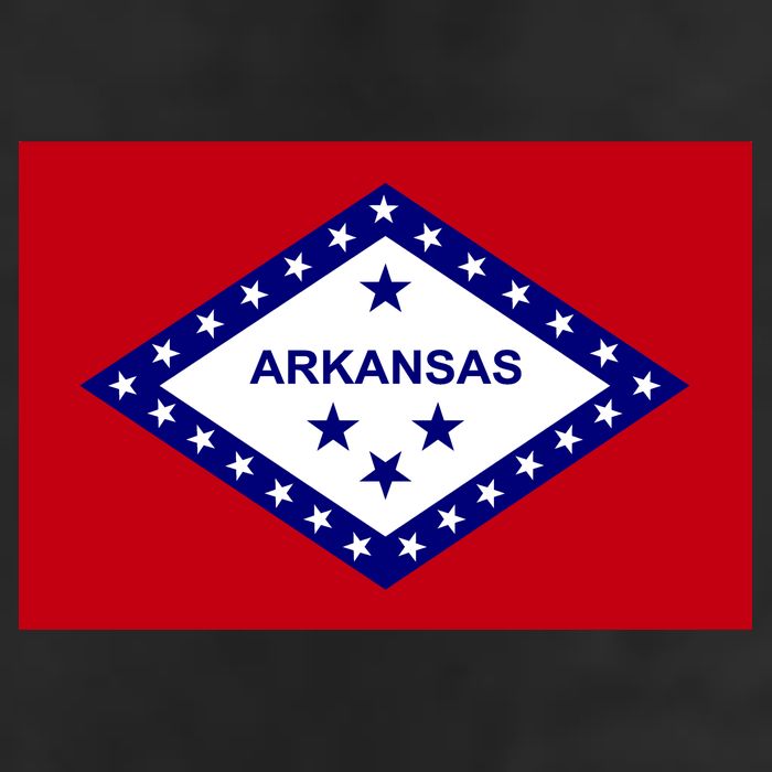 Arkansas State Flag 7 Panel Mesh Trucker Snapback Hat