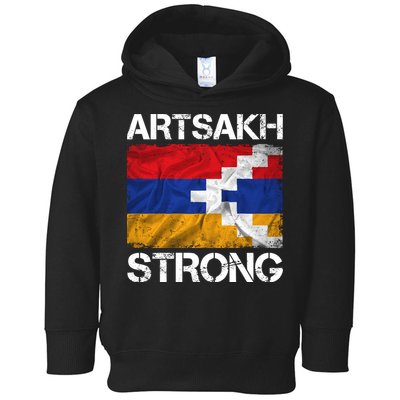 Armenia Flag Artsakh Strong Protest Toddler Hoodie