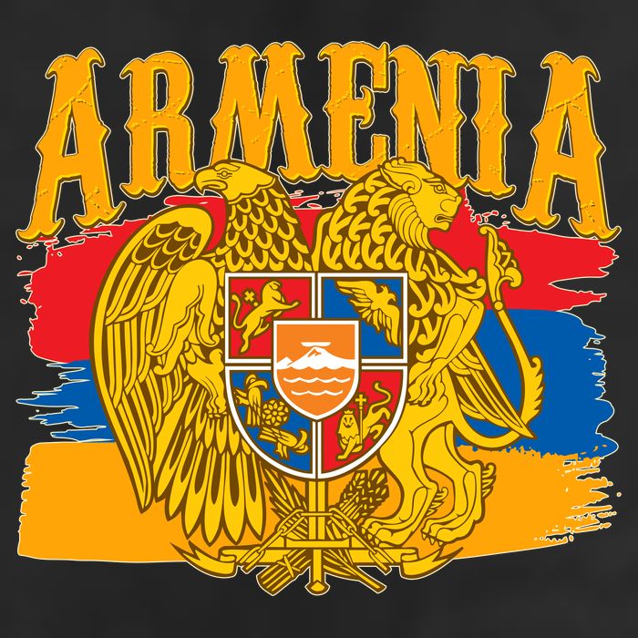 Armenia Flag Crest Artsakh Protest  Adult Drive Performance Visor