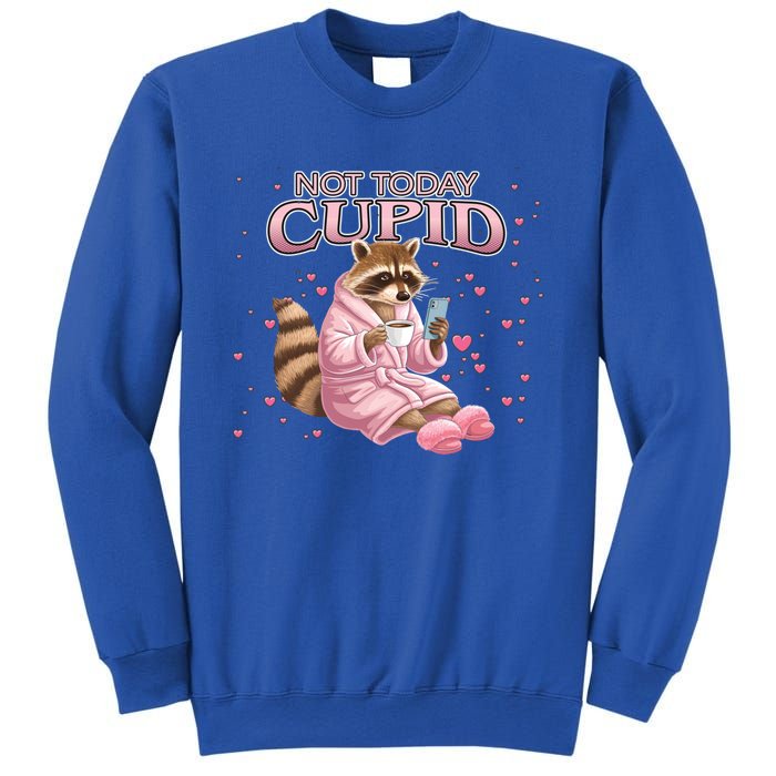 Antivalentine Raccoon Not Today Cupid Concept Cute Gift Sweatshirt