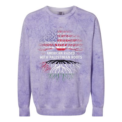 American Raised Palestinian Roots Usa Gaza Palestine Flag Colorblast Crewneck Sweatshirt