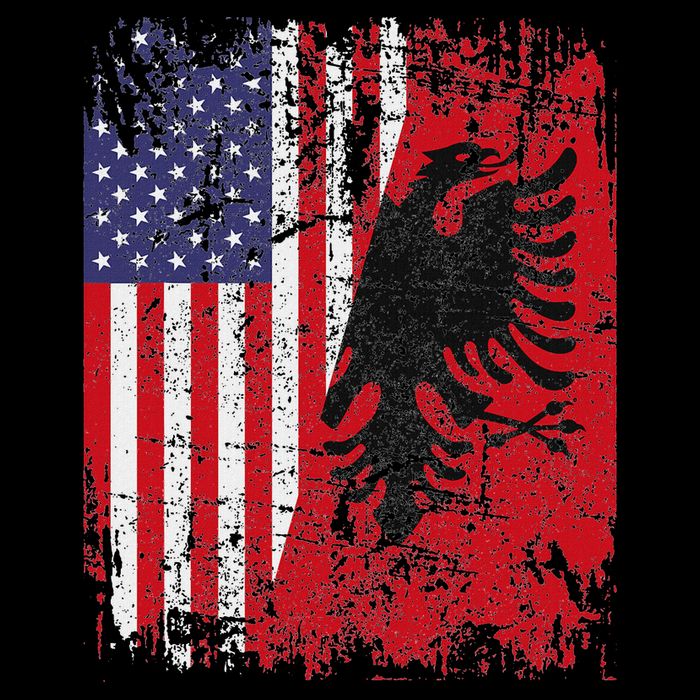 Albanian Roots Red Eagle Albania American Flag 16 in Basic Backpack