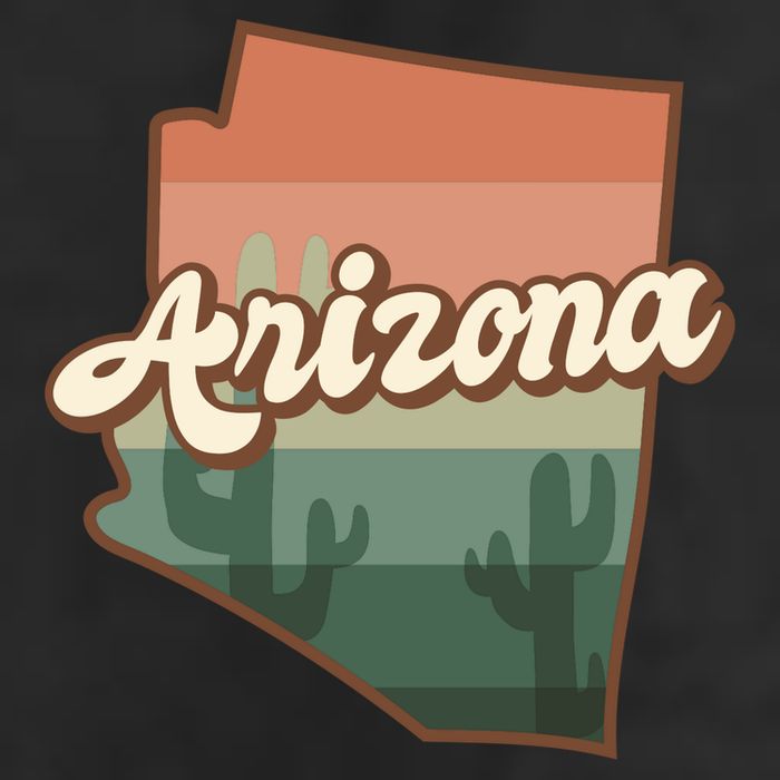 Arizona Retro Sunset 7 Panel Mesh Trucker Snapback Hat