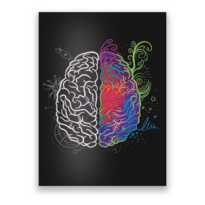 Artistic And Logical Brain Poster