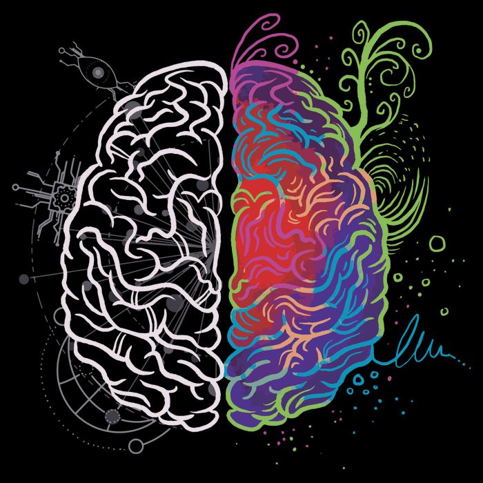 Artistic And Logical Brain Poster