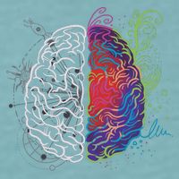 Artistic And Logical Brain Sueded Cloud Jersey T-Shirt