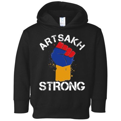 Artsakh Strong Armenian Flag Colors Protest Fist Toddler Hoodie