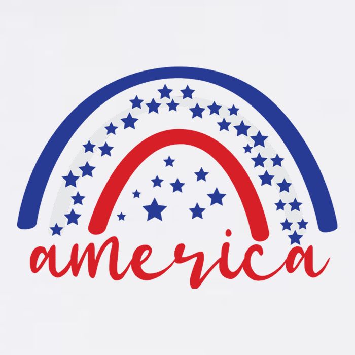America Rainbow USA Premium T-Shirt