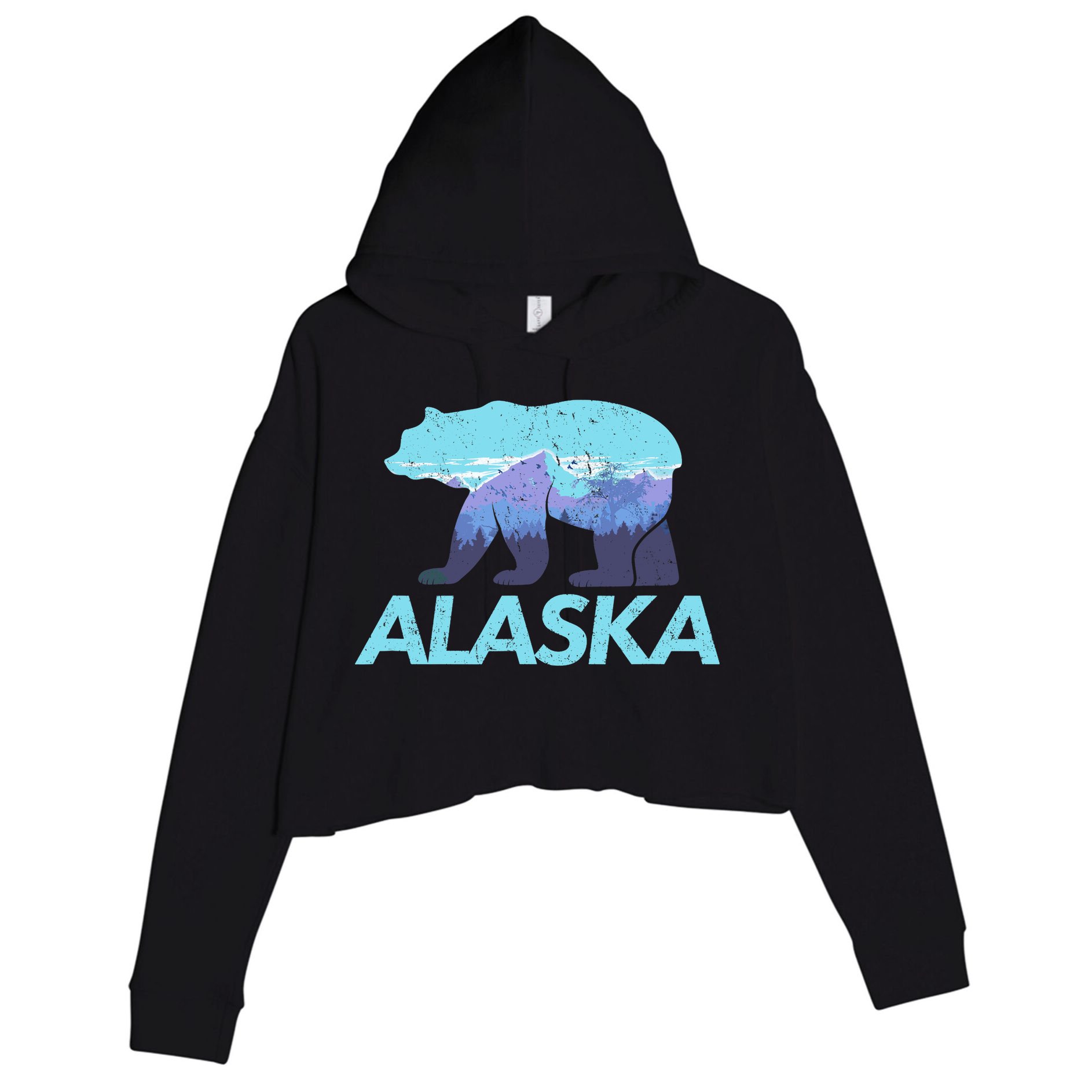 Alaska Retro Vintage Mountains & Outdoors Wilderness State Crop Fleece Hoodie