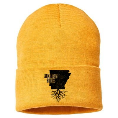 Arkansas Roots Vintage Pride State Map Gift Sustainable Knit Beanie