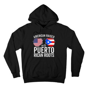 American Raised With Puerto Rican Roots USA Puerto Rico Flag Hoodie