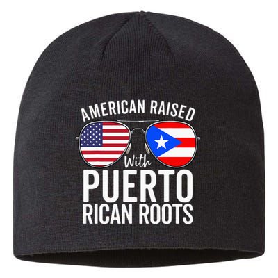 American Raised With Puerto Rican Roots USA Puerto Rico Flag Sustainable Beanie