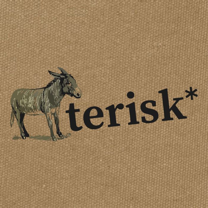 Asterisk Reader Writer Cotton Canvas Backpack