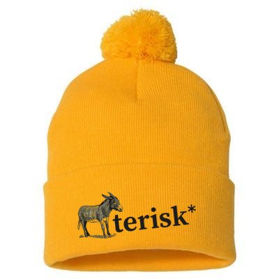 Asterisk Reader Writer Pom Pom 12in Knit Beanie