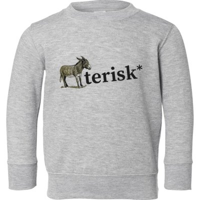 Asterisk Reader Writer Toddler Sweatshirt