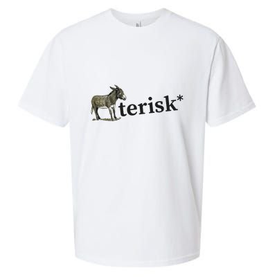 Asterisk Reader Writer Sueded Cloud Jersey T-Shirt