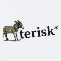 Asterisk Reader Writer Sueded Cloud Jersey T-Shirt