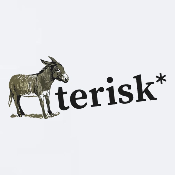 Asterisk Reader Writer Sueded Cloud Jersey T-Shirt