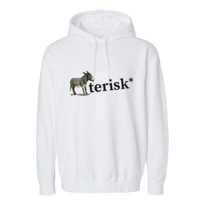 Asterisk Reader Writer Garment-Dyed Fleece Hoodie