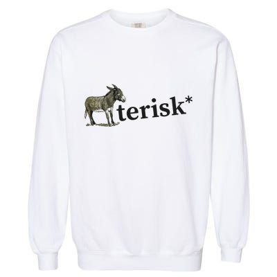Asterisk Reader Writer Garment-Dyed Sweatshirt