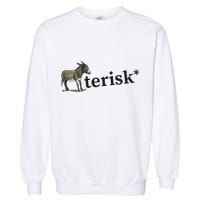 Asterisk Reader Writer Garment-Dyed Sweatshirt