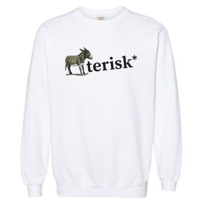 Asterisk Reader Writer Garment-Dyed Sweatshirt