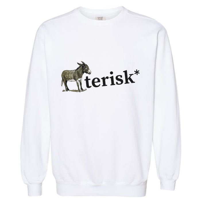 Asterisk Reader Writer Garment-Dyed Sweatshirt