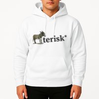 Asterisk Reader Writer Hoodie