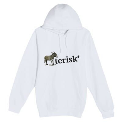 Asterisk Reader Writer Premium Pullover Hoodie