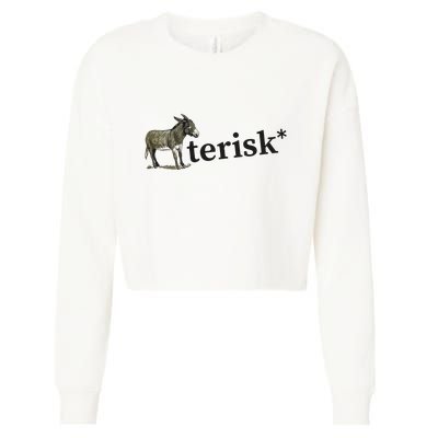 Asterisk Reader Writer Cropped Pullover Crew