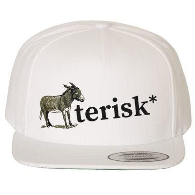 Asterisk Reader Writer Wool Snapback Cap