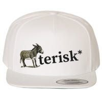 Asterisk Reader Writer Wool Snapback Cap