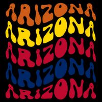 Arizona Retro Wave Sustainable Bucket Hat