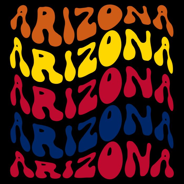 Arizona Retro Wave Sustainable Bucket Hat