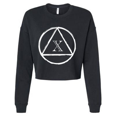 Aa Sobriety 10 Yr Abstinence 10 Years Sober Anniversary Gift Cropped Pullover Crew
