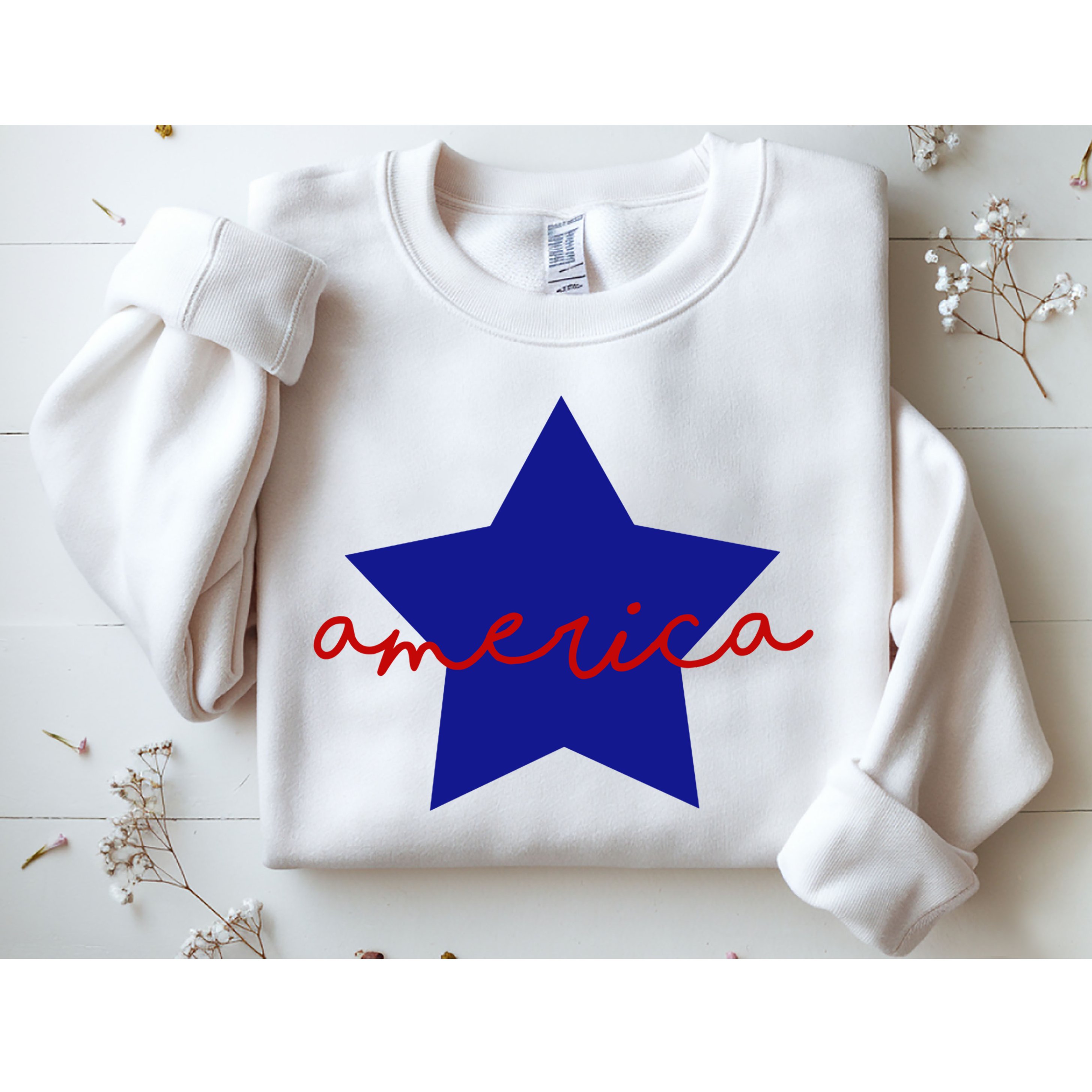 America Star 4th Of July Celebration Sweatshirt