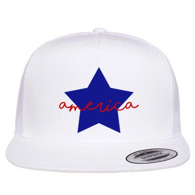 America Star 4th Of July Celebration Flatbill Hat