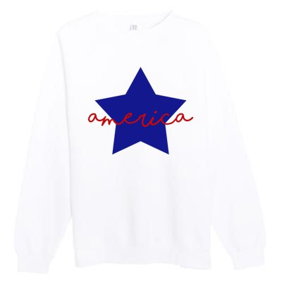 America Star 4th Of July Celebration Premium Crewneck Sweatshirt