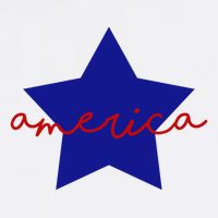 America Star 4th Of July Celebration Toddler T-Shirt