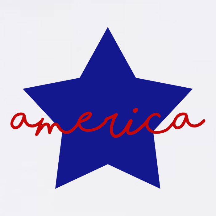 America Star 4th Of July Celebration Toddler T-Shirt